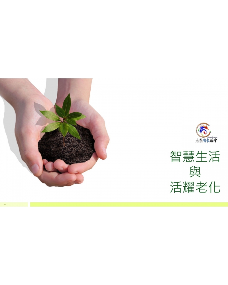 投影片17