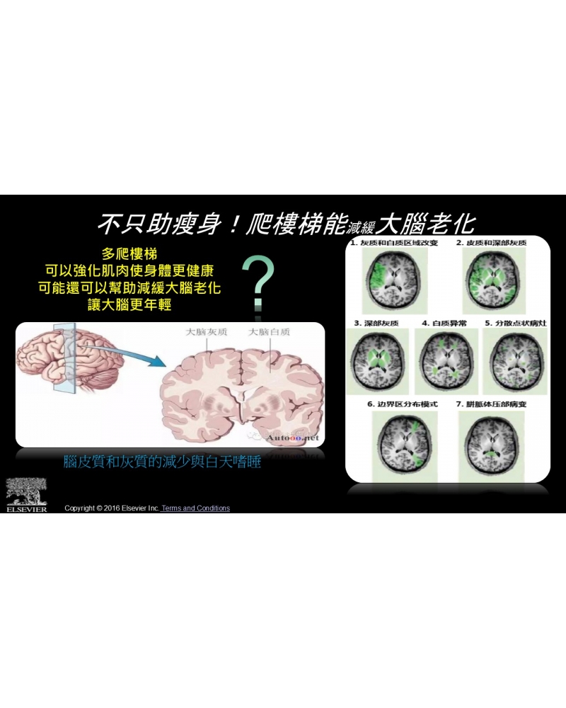 投影片39
