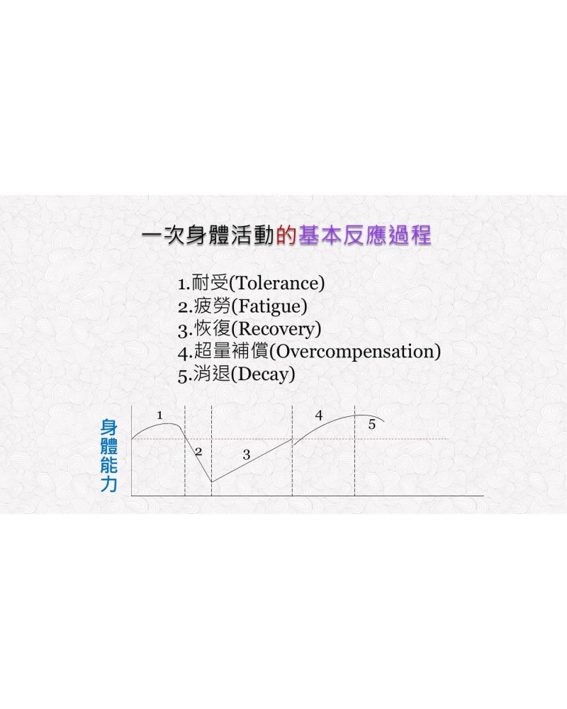投影片133