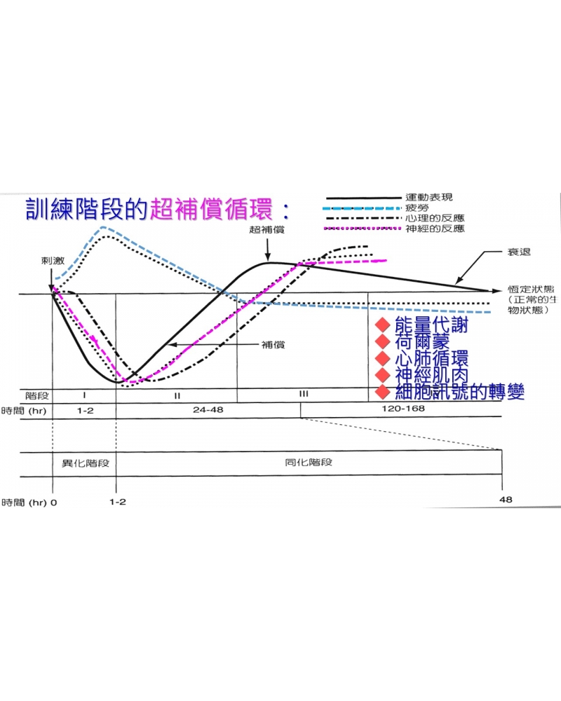 投影片135