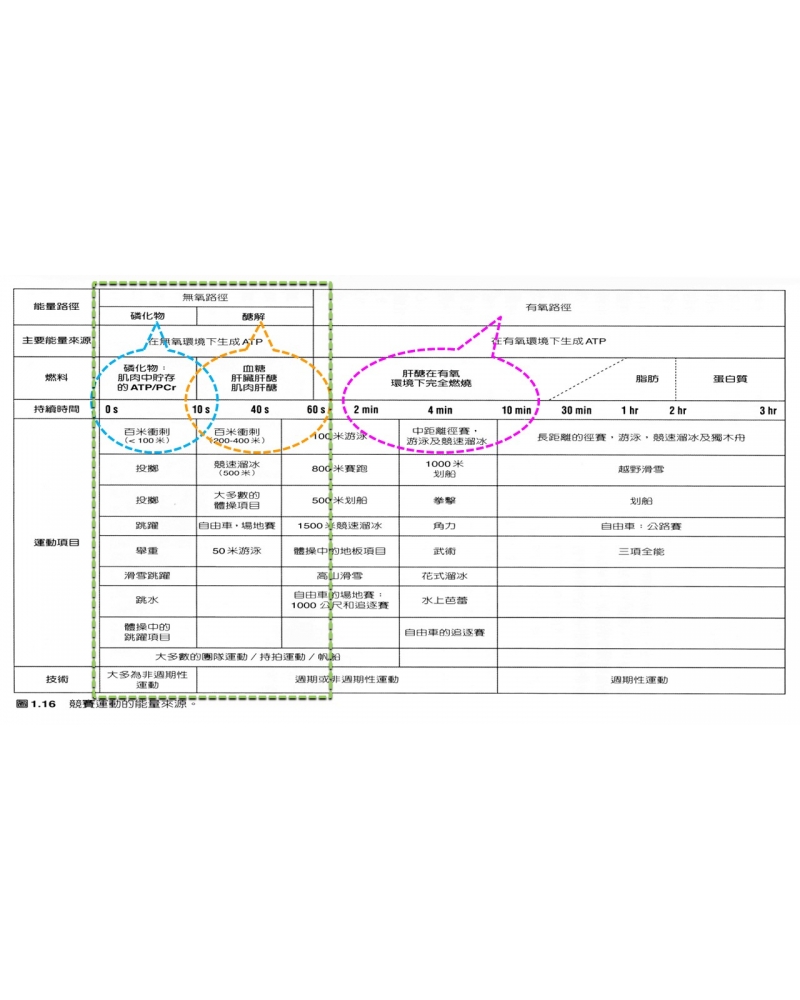 投影片139